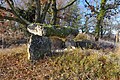 Dolmen de Saint-Paul