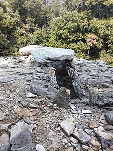 Dolmen du Bois des Géantes no. 5