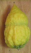 Etrog