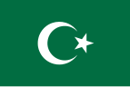 Застава босанскохерцеговачких муслимана, популаран симбол међу Бошњацима