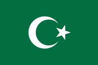Bosniakoen artean popularra den Islamaren bandera berdearen bertsioa.
