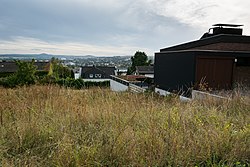 Fundplatz Gönnersdorf (2016) Zwei Fundkonzentrationen befanden sich auf dem Wiesengrundstück unmittelbar neben der schwarzen und der weißen Garage.