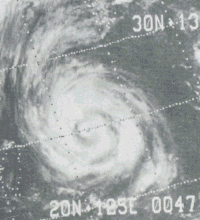 台風第8号