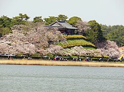 Bunga sakura di sepanjang Tasik Gyeongpo.