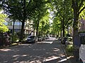 Hinrichsenstraße, Blick von der Einmündung zur Alfredstraße