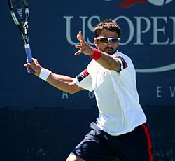 http://upload.wikimedia.org/wikipedia/commons/thumb/8/8a/Janko_Tipsarevic_(SRB)_US_Open.jpg/250px-Janko_Tipsarevic_(SRB)_US_Open.jpg