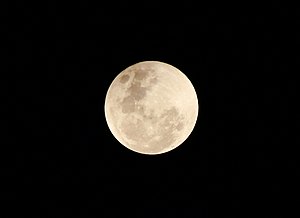 Immagine January 2018 Lunar Eclipse - 8.jpg.