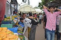 Lalbagh Botanical Garden - Annual Mango Festival