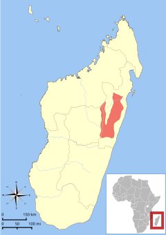 Distribuição do Lepilemur mustelinus em Madagascar