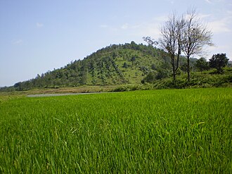 Cánh đồng Cư Kuin