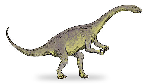 Lufengosaurus Esquisse1