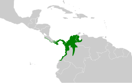 Panamese tiran