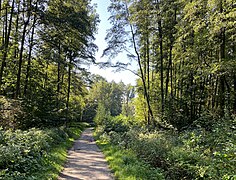 Pillebachtal nördl. Gut Großeforst