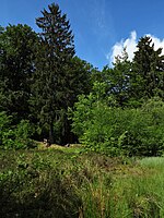 Sandgrubengelände „Am Ellerwege“