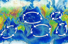 Mapa zobrazující 5 kruhů. První je mezi západní Austrálií a východní Afrikou. Druhá je mezi východní Austrálií a západní Jižní Amerikou. Třetí je mezi Japonskem a západní Severní Amerikou. Z těch dvou v Atlantiku je jeden na polokouli.