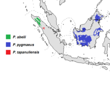 Orangutan distribution.png
