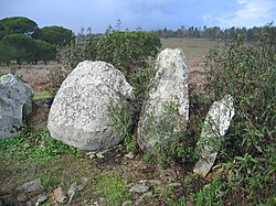 Monumento megalítico da Pata do Cavalo