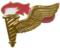 導航兵徽章（英語：Pathfinder Badge (U.S.)）