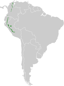 Distribución geográfica del picoplano gorgiamarillo.