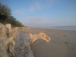 Playa Grande, 7 Kilometer nördlich von Montezuma
