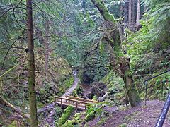 The path ascends, with ups and downs, through woodland.