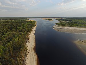 Буллі