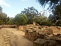 Ruines Romaines Tipaza.