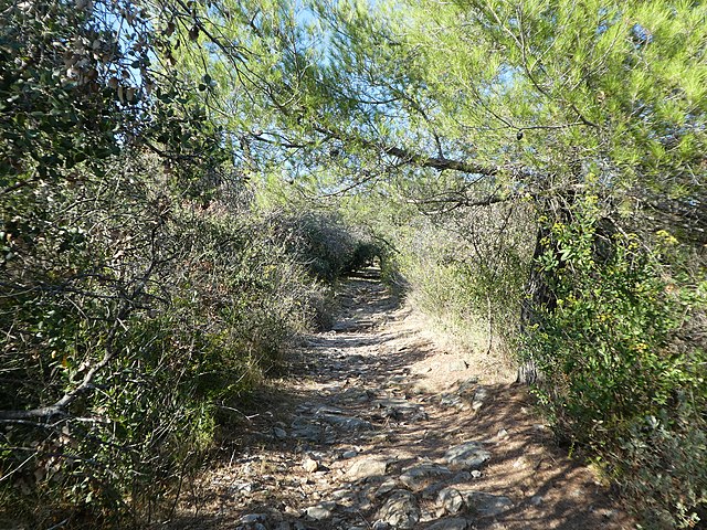 Sentier vers les carrières du roi à Caunes-Minervois.