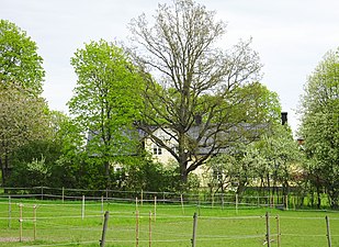 Före detta prästgården sedd från Österhaningevägen.