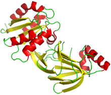 Soluble diacylglycerol kinase DgkB from Staphylococcus aureus.png