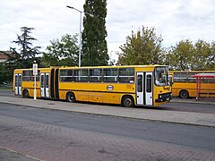 3 ajtós busz Szentendrén a Volánbusz színeiben
