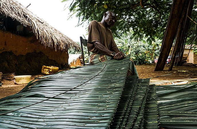 The process continues until the length of the sticks are fully covered in green palm leaves. He completes a pair of thatch in what takes minutes and begins another.