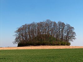 Tumulus van Hottomont