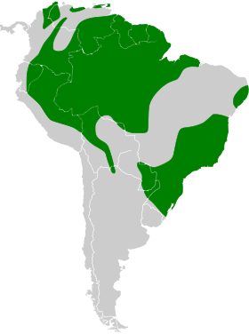 Distribución geográfica del zorzal cuelliblanco.