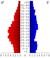 Bevolkingspiramide Luce County