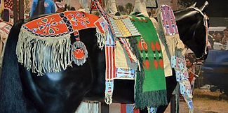 Representation of Crow horse regalia, ca. 1880s with cradleboard on exhibit at NMAI VOALogueHorse480diffangle.jpg