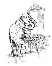 Elephants can recognize themselves in a mirror. Vimar - Le Boy de Marius Bouillabes - Illustration p31.jpg