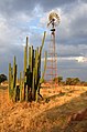 Windmotor auf Farm Achalm (Namibia)