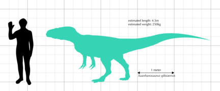 Xuanhanosaurus qilixiaensis size comparison