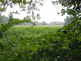 Image illustrative de l’article Marais d'Ableiges