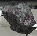 Eudialyte dans la salle des minéraux