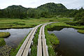 四十八池湿原（長野県山ノ内町）