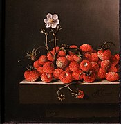 Naturaleza muerta con fresas silvestres (1705), Mauritshuis, La Haya