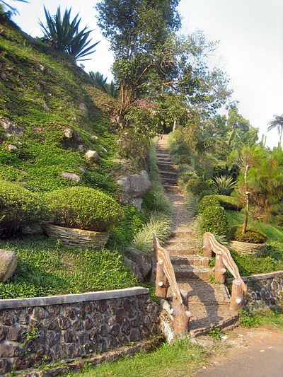 Cibodas Botanical Garden in Java, Indonesia