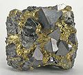 Chalkopyrit (gold) und Magnetit (silber)