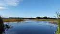 Dead Stream Flooding State Wildlife Management Area