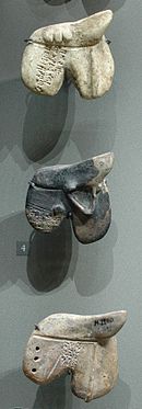 Clay models of animal livers dating between the nineteenth and eighteenth centuries BCE, found in the royal palace at Mari in what is now Syria Divinatory livers Louvre AO19837.jpg