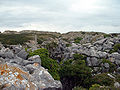 The sculpture park, Portland (on Isle of Portland)