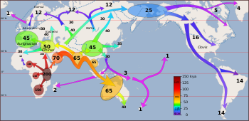 Overview map of the peopling of the world by early human migration during the Upper Paleolithic, following the Southern Dispersal paradigm Early migrations mercator.svg