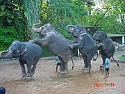 National Zoological Gardens of Sri Lanka